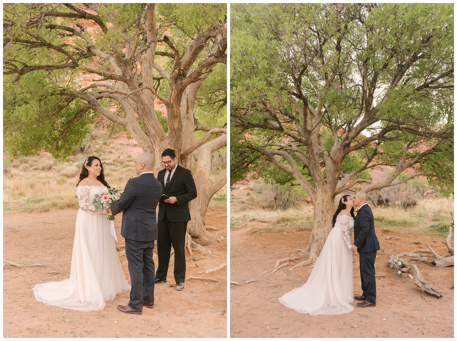 Red Rock Canyon Ash Springs elopement