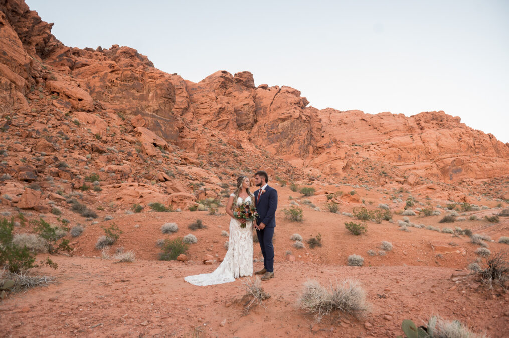 bride and groom portraits at valley of fire state park