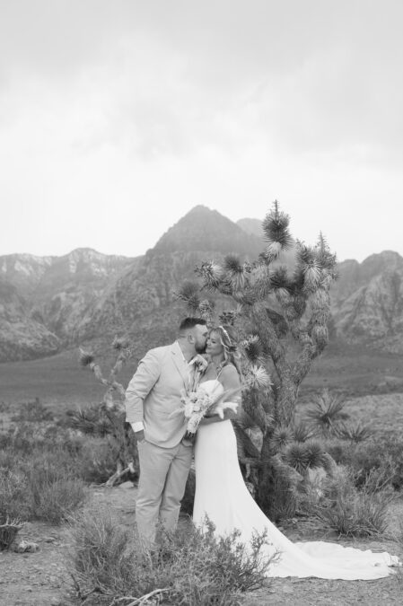 bride and groom kiss with joshua tree and desert mountains 