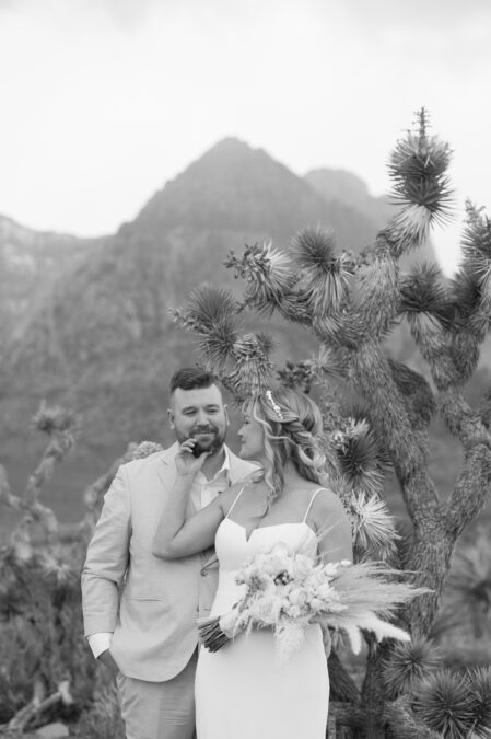 black and white romantic photos with joshua trees and mountains in the background