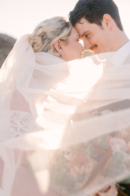 bride and groom portrait with veil in front