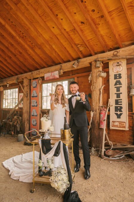 UK bride and groom giving a toast at their desert las vegas destination wedding
