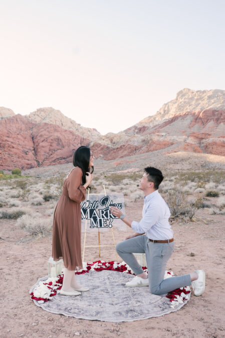 red rock canyon las vegas proposal 